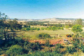 Pecan Hill Bed And Breakfast - Kingaroy Accommodation 0