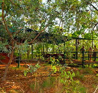 Arnhemland Barramundi Nature Lodge - Kingaroy Accommodation