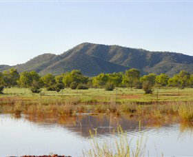 Old Ambalindum Homestead - Kingaroy Accommodation 3