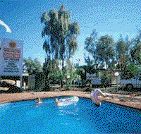 Wintersun Cabin and Caravan Park - Kingaroy Accommodation