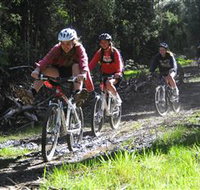 Charnwood - Kingaroy Accommodation