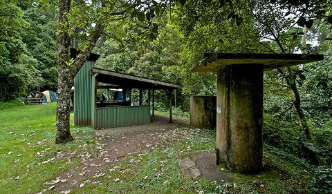 Forest Tops Campground - Kingaroy Accommodation 1