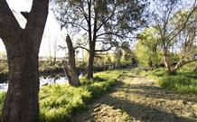 Fossickers Tourist Park - Kingaroy Accommodation 5