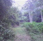 Macas Camping Ground - Kingaroy Accommodation