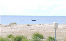 Merry Beach Caravan Resort - Kingaroy Accommodation 6