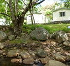 Mt Warning Rainforest Park - Kingaroy Accommodation
