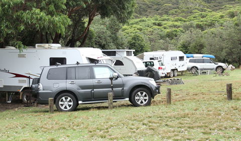 Pretty Beach Campground - Murramarang National Park - Kingaroy Accommodation 1