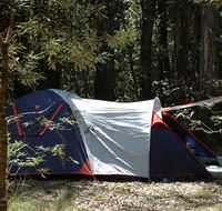 Thungutti campground - Kingaroy Accommodation