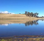 Bombala Maneroo Motel - Bombala - Kingaroy Accommodation