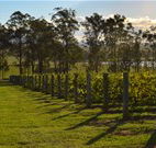 H Boutique Hotel - Pokolbin