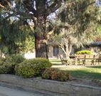 Hamilton Hume Motor Inn - Yass - Kingaroy Accommodation