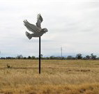 Gulargambone Hotel - Gulargambone - Kingaroy Accommodation