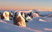 Matterhorn Ski Lodge - Perisher Valley - Kingaroy Accommodation 2