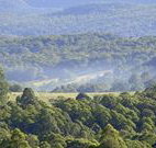 Nowendoc Country Motel - Nowendoc - Kingaroy Accommodation