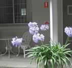 Pine Lodge Motel - Woolgoolga - Kingaroy Accommodation