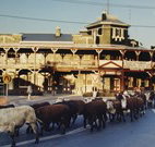 The Commercial Hotel Coonamble - Coonamble - Kingaroy Accommodation