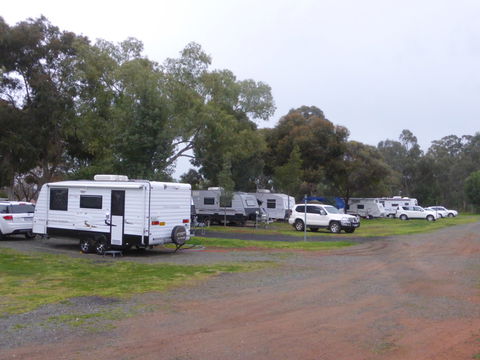 Peak Hill Caravan Park - Kingaroy Accommodation 5