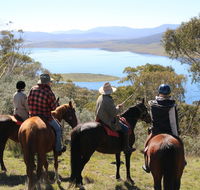 Reynella Homestead and Horseback Rides