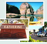 Red Gum Tourist Park - Kingaroy Accommodation