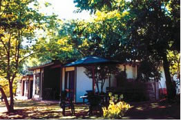 Forest Lodge - Kingaroy Accommodation 0