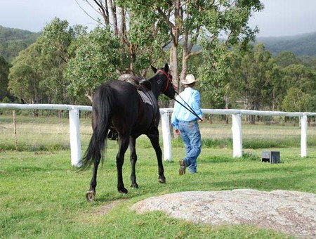 Cherrabah Resort - Kingaroy Accommodation 2