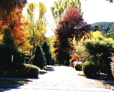 Goldfields Holiday Units - Kingaroy Accommodation 0