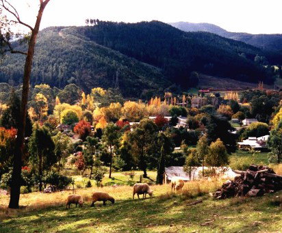 Goldfields Holiday Units - Kingaroy Accommodation 1