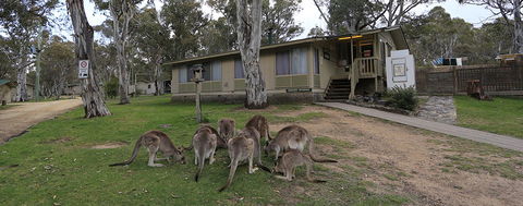 Kosciuszko Tourist Park - Kingaroy Accommodation 5
