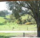 Hosanna Farm Retreat - Kingaroy Accommodation