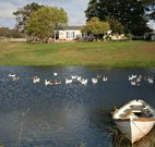 Old Redbank Farm Holiday - Kingaroy Accommodation