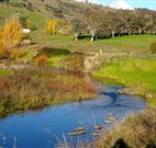 Ralda's Cottage - Kingaroy Accommodation