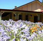 Red Hill Organics Farmstay - Kingaroy Accommodation