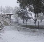 Tirrintippin - Kingaroy Accommodation