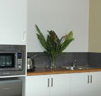 Toolond Plantation - Kingaroy Accommodation