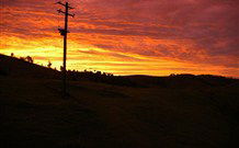 Toolond Plantation - Kingaroy Accommodation 6