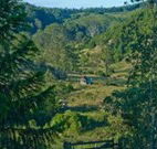 Yarralong BnB and Farm Stay - Kingaroy Accommodation