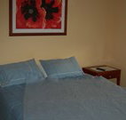 Busy Buzz - Kingaroy Accommodation
