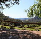 Cedar Grove - - Kingaroy Accommodation