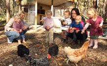 Chiltern Lodge Country Retreat - Kingaroy Accommodation 1