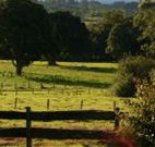 Pines on the Plateau - Kingaroy Accommodation