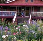 Rose Patch Bed and Breakfast