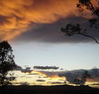 Silkwood B and B - Kingaroy Accommodation