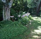 Tallawalla Retreat - Kingaroy Accommodation