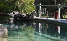 Telegraph Retreat - - Kingaroy Accommodation 3