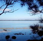 The Edgewater Bed and Breakfast - Kingaroy Accommodation