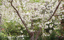Valley Of The Waters Bed And Breakfast - Kingaroy Accommodation 7