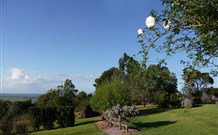 Yellow Dog Cottage - - Kingaroy Accommodation 3
