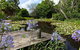 Yellow Dog Cottage - - thumb 4