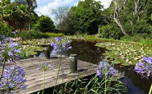Yellow Dog Cottage - - Kingaroy Accommodation 4