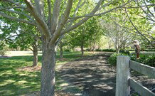 Yellow Dog Cottage - - Kingaroy Accommodation 6